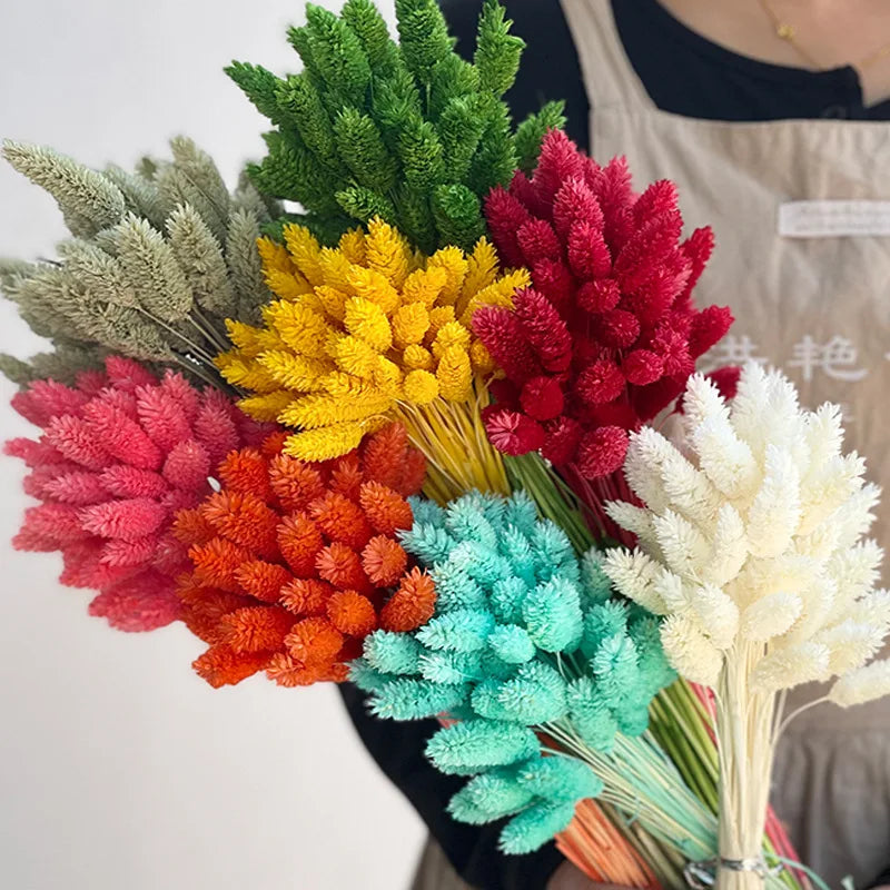 20-60pcs Bunny Tail Natural Plants Colored Gemstone Grass Boho Wedding Decor Dry Pampas Flower Wedding Faux Fake Flower Cake DIY