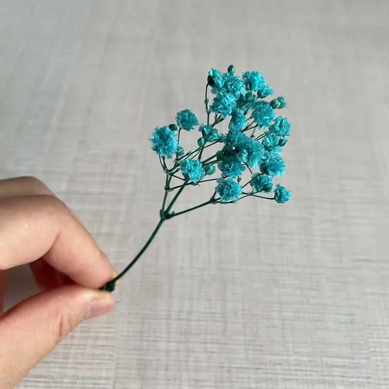 5~12CM /30PC Real Dried Babys Breath,Gypsophila Flowers Branch,Mini Preserved Baby Breath Flower for Invitations Card Decoration
