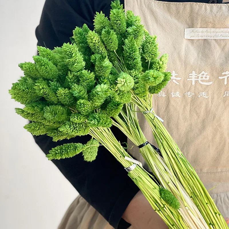 20-60pcs Bunny Tail Natural Plants Colored Gemstone Grass Boho Wedding Decor Dry Pampas Flower Wedding Faux Fake Flower Cake DIY