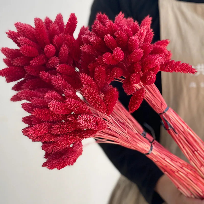 20-60pcs Bunny Tail Natural Plants Colored Gemstone Grass Boho Wedding Decor Dry Pampas Flower Wedding Faux Fake Flower Cake DIY