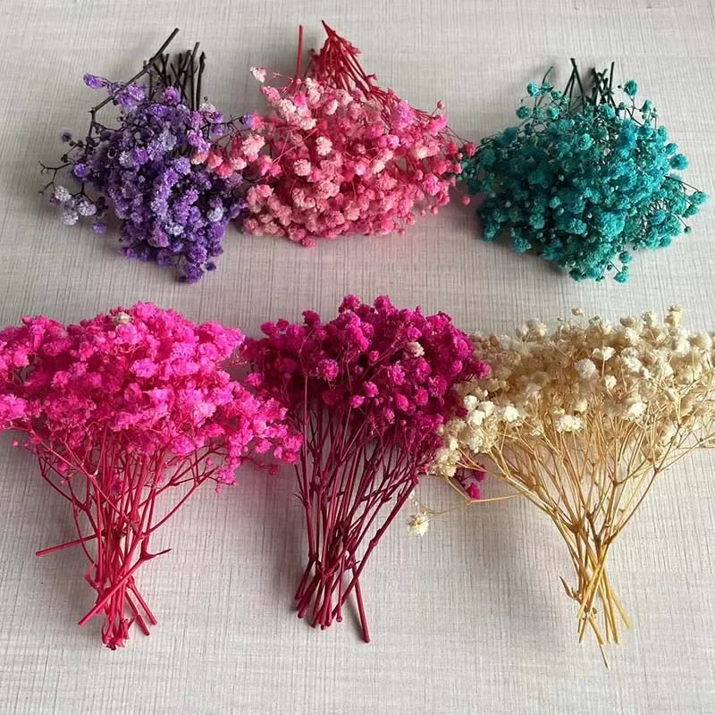 5~12CM /30PC Real Dried Babys Breath,Gypsophila Flowers Branch,Mini Preserved Baby Breath Flower for Invitations Card Decoration