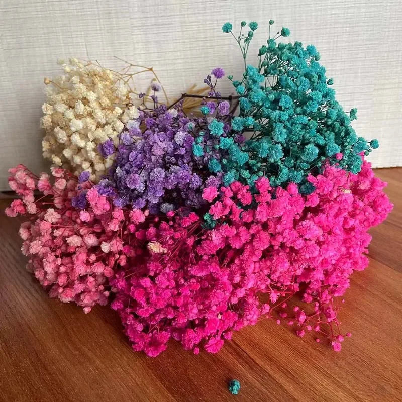 5~12CM /30PC Real Dried Babys Breath,Gypsophila Flowers Branch,Mini Preserved Baby Breath Flower for Invitations Card Decoration