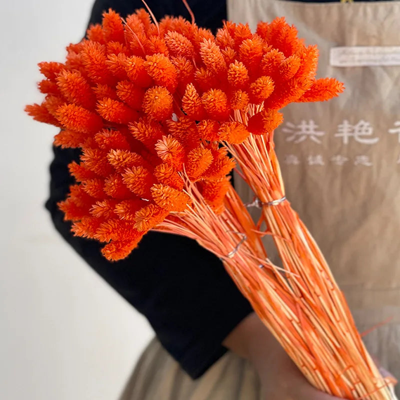 20-60pcs Bunny Tail Natural Plants Colored Gemstone Grass Boho Wedding Decor Dry Pampas Flower Wedding Faux Fake Flower Cake DIY