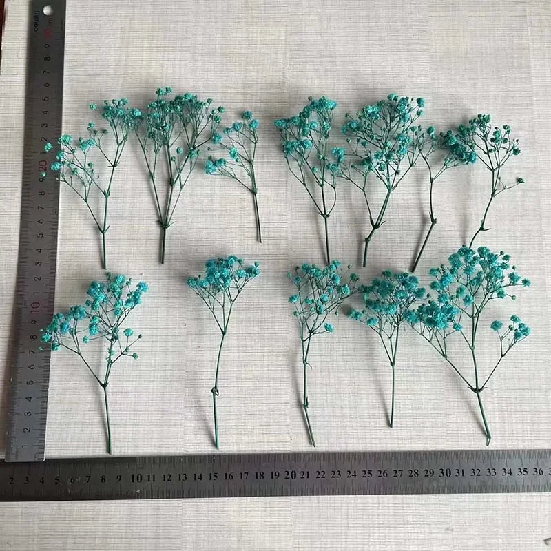 5~12CM /30PC Real Dried Babys Breath,Gypsophila Flowers Branch,Mini Preserved Baby Breath Flower for Invitations Card Decoration