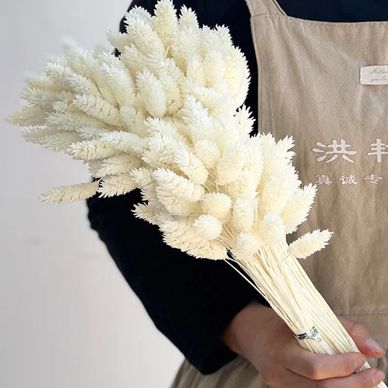 20-60pcs Bunny Tail Natural Plants Colored Gemstone Grass Boho Wedding Decor Dry Pampas Flower Wedding Faux Fake Flower Cake DIY