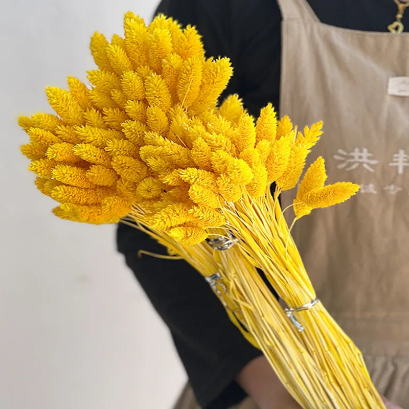 20-60pcs Bunny Tail Natural Plants Colored Gemstone Grass Boho Wedding Decor Dry Pampas Flower Wedding Faux Fake Flower Cake DIY